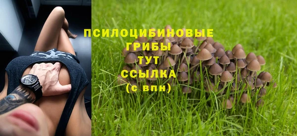 стафф Баксан