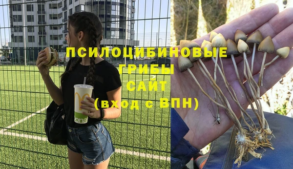 герыч Балахна