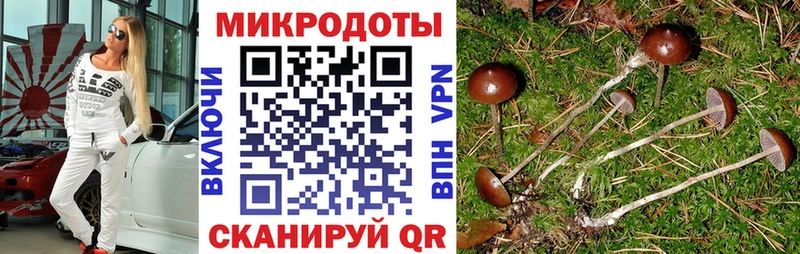 Галлюциногенные грибы MAGIC MUSHROOMS  Теберда 
